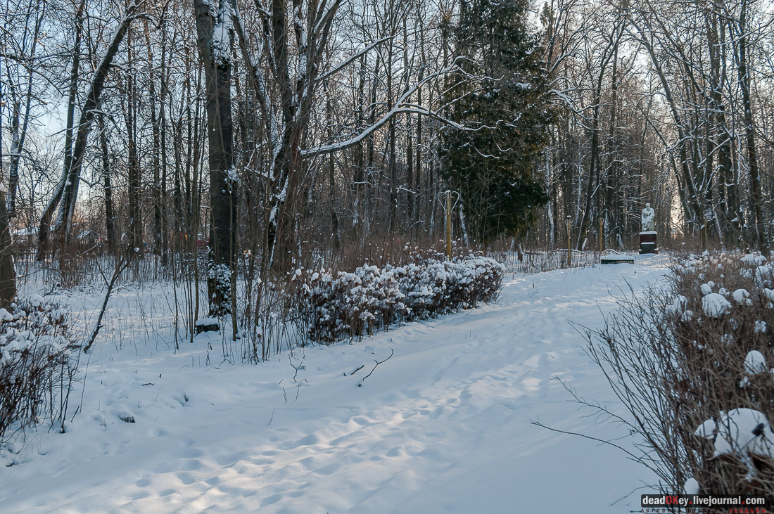 усадьба Васькино