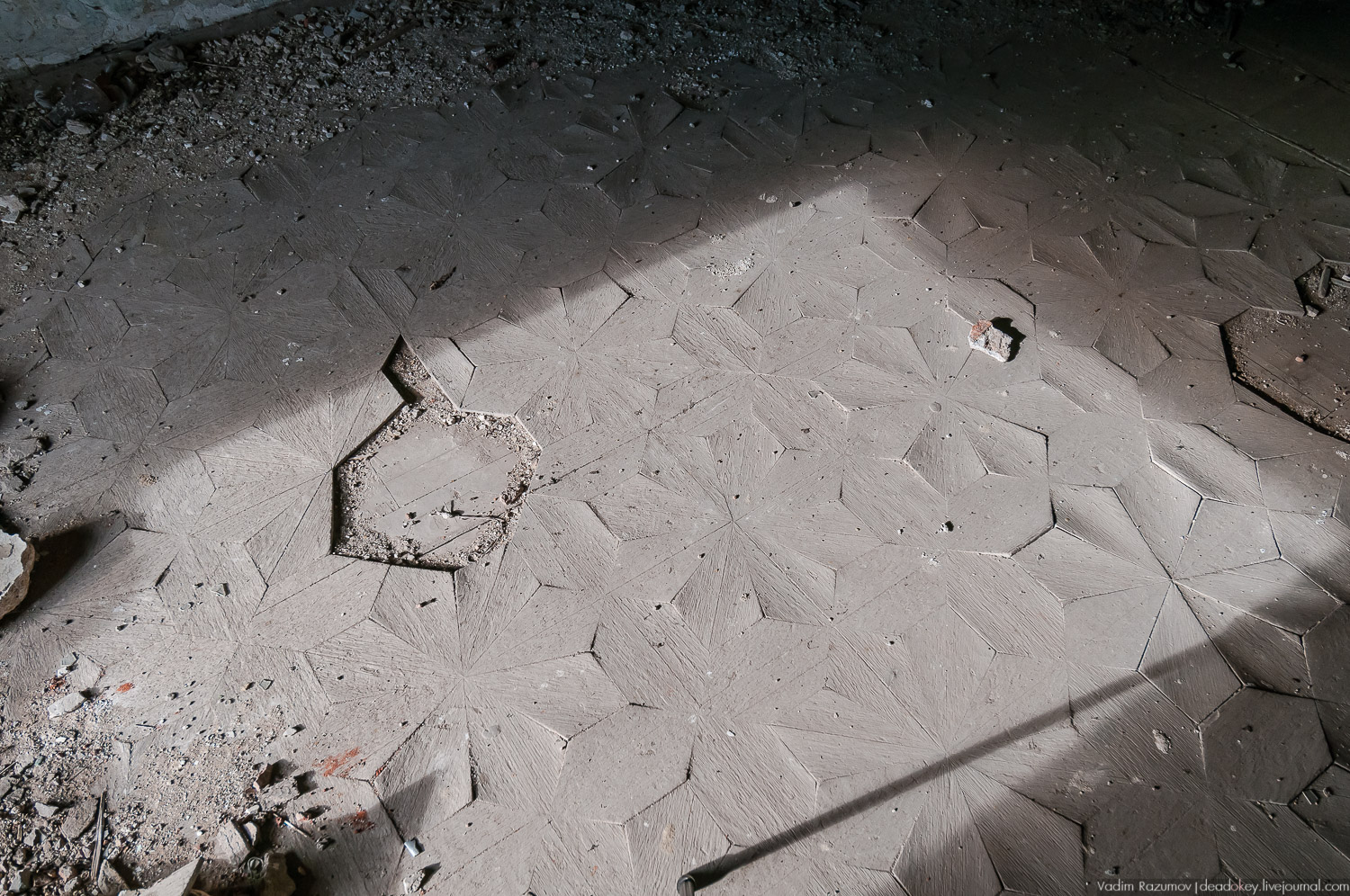 усадьба Полибино, проект Британской школы дизайна