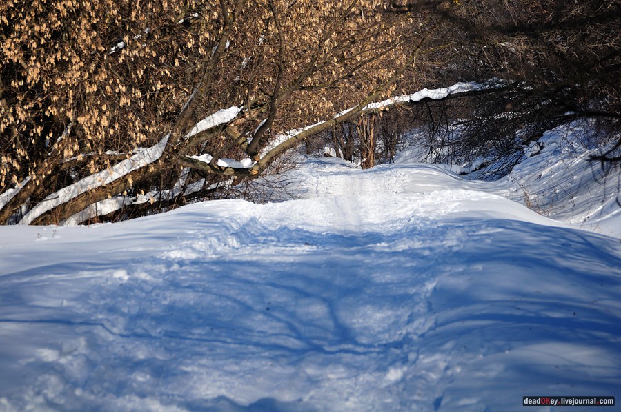 усадьба Старбеево