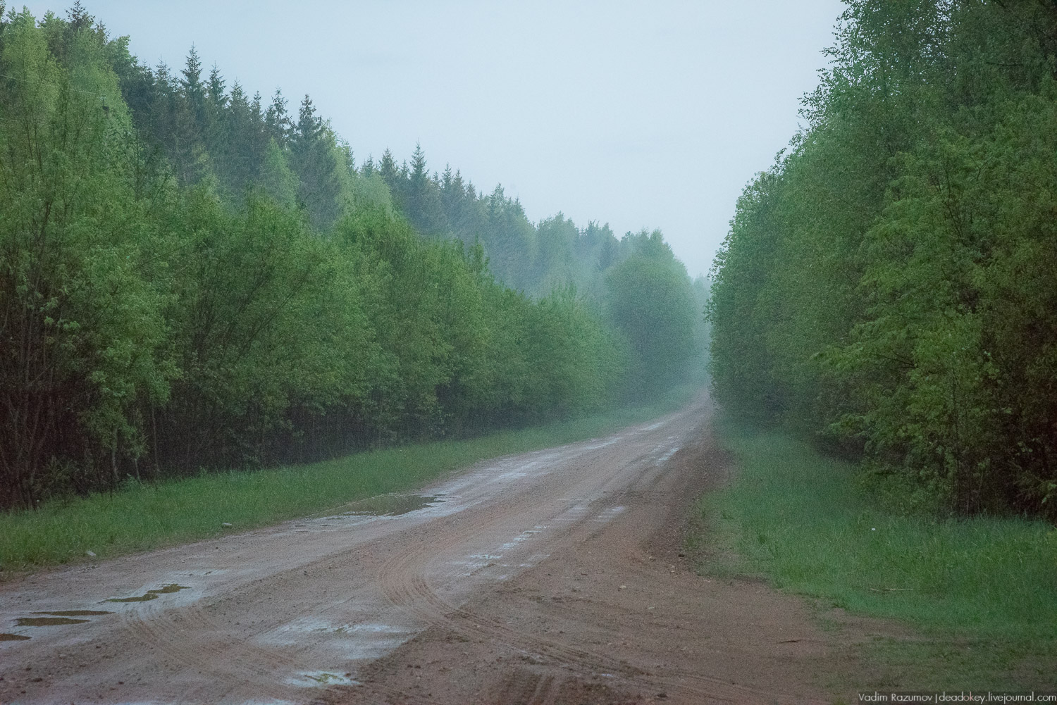 Центрально-лесной государственный природный биосферный заповедник, Нелидовский район, Тверская область, пос. Заповедный