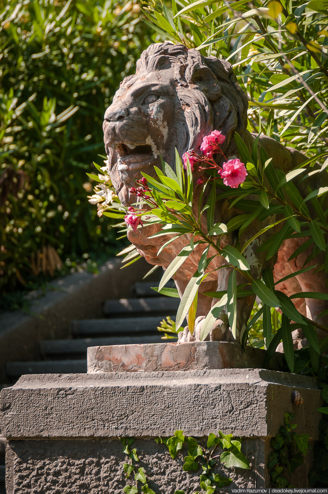 Юсуповский дворец, Крым, львы