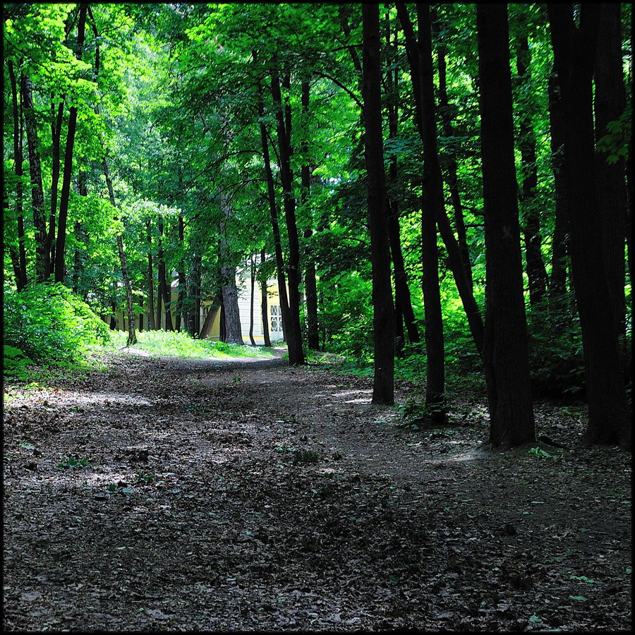Парковые аллеи в русских усадьбах
