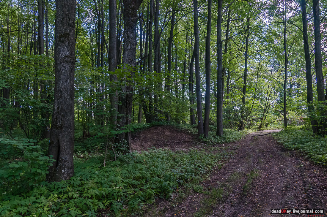 усадьба Васильевское Повалишиных