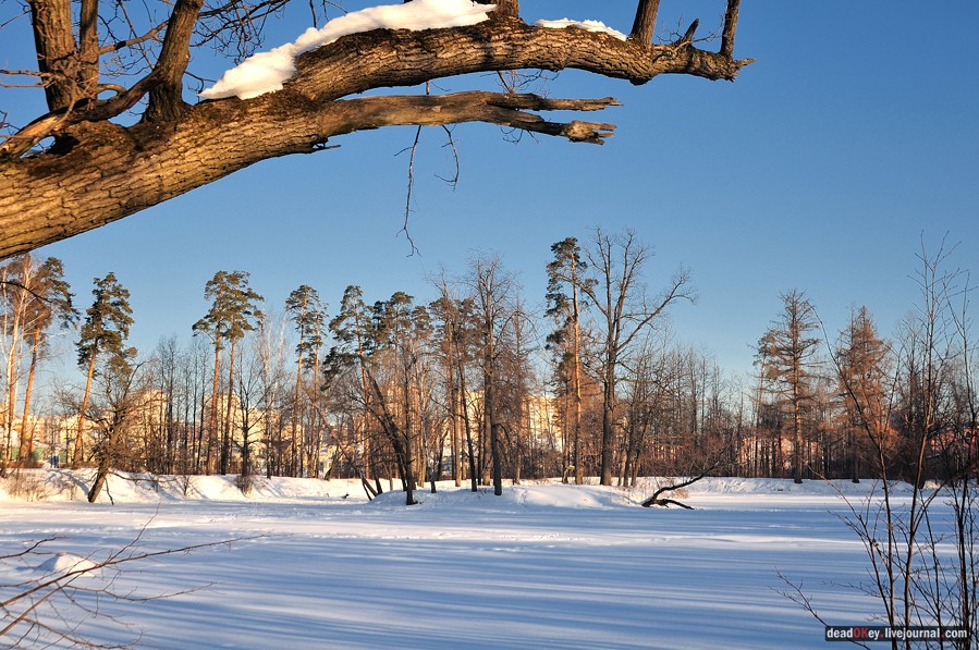 усадьба Архангельское-Тюриково
