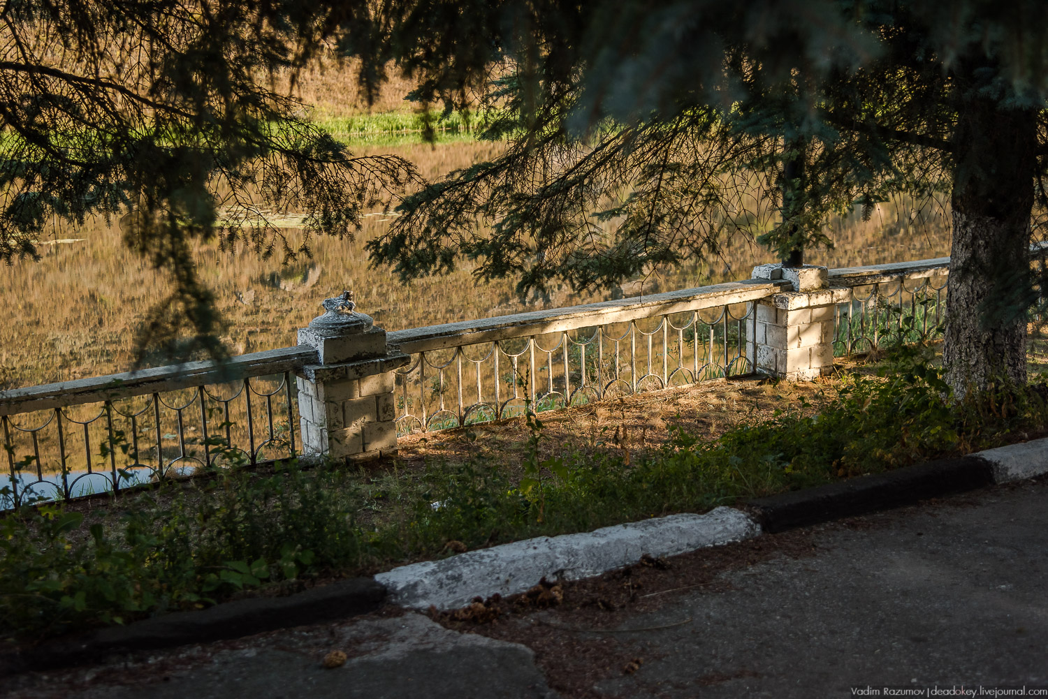 усадьба Талдыкиных, Воргольские скалы, Липецкая область