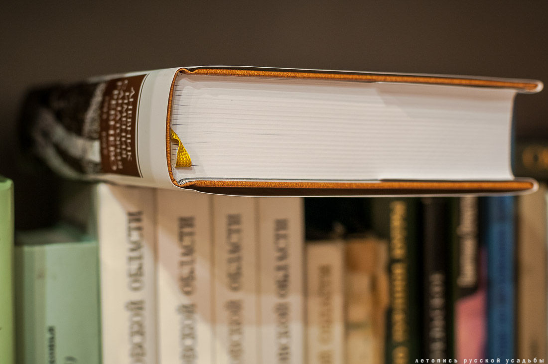 книга Дневник имения-санатория Гребнево, А.Ю. Послыхалин