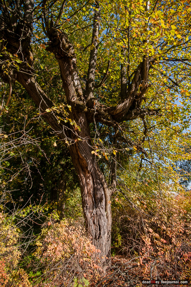 усадьба Стуловых
