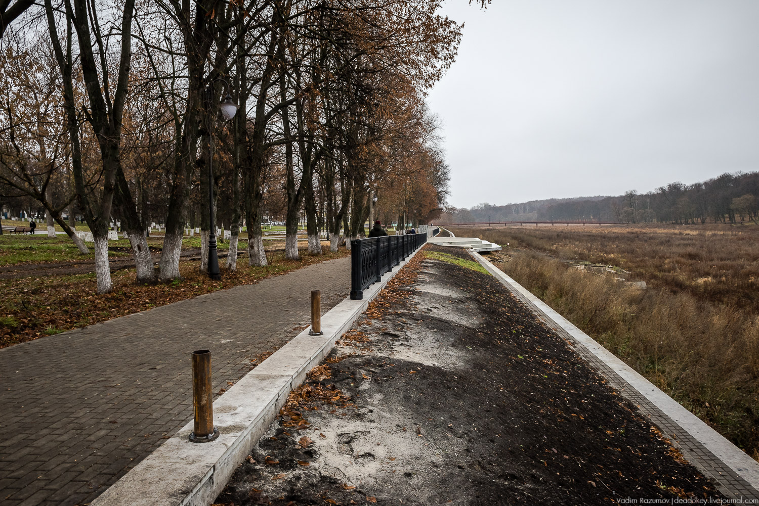 Богородицк, ограда набережной дворцового пруда