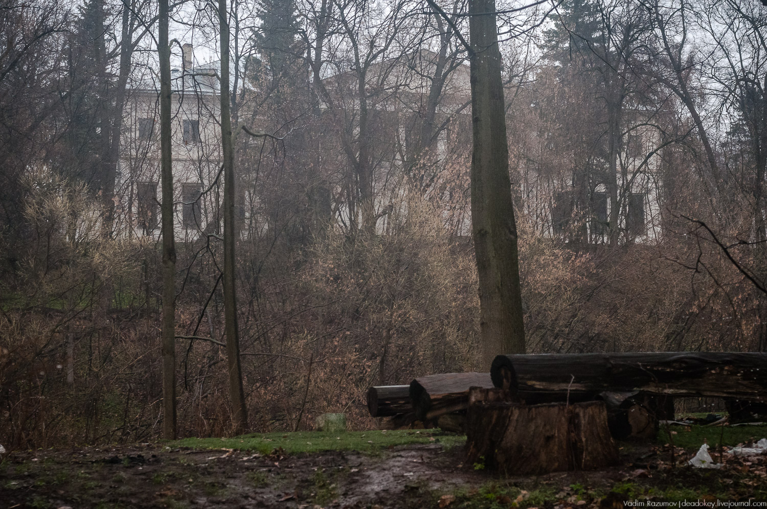 усадьба Петрово (Дурнево, Петрово-Дальнее), Красногорский район, Московская область