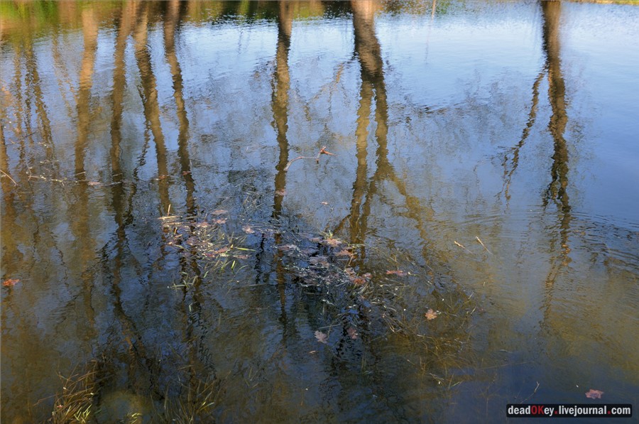 усадьба Черкутино
