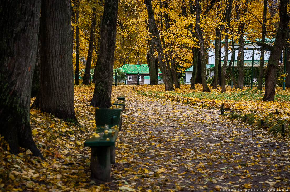 усадьба Ясная Поляна Льва Николаевича Толстого, Тульская область, осенью