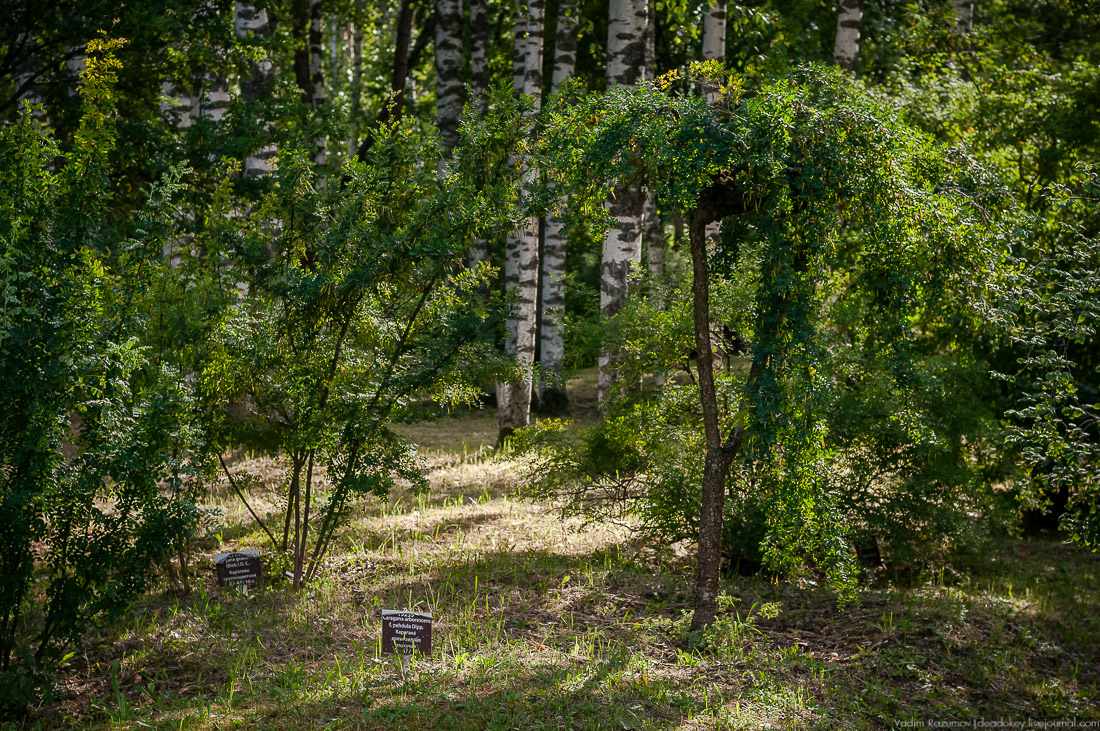 усадьба Барсуково