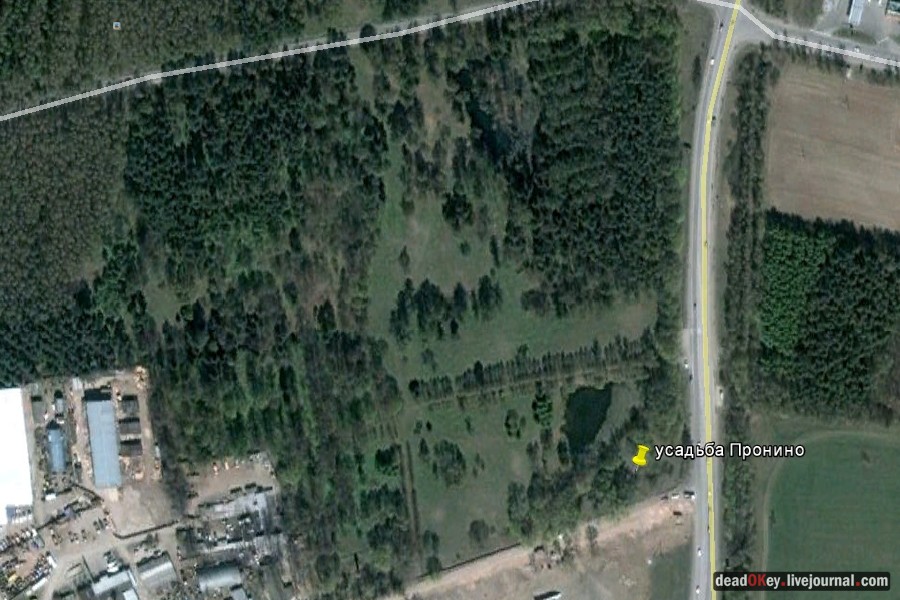 усадьба Пронино