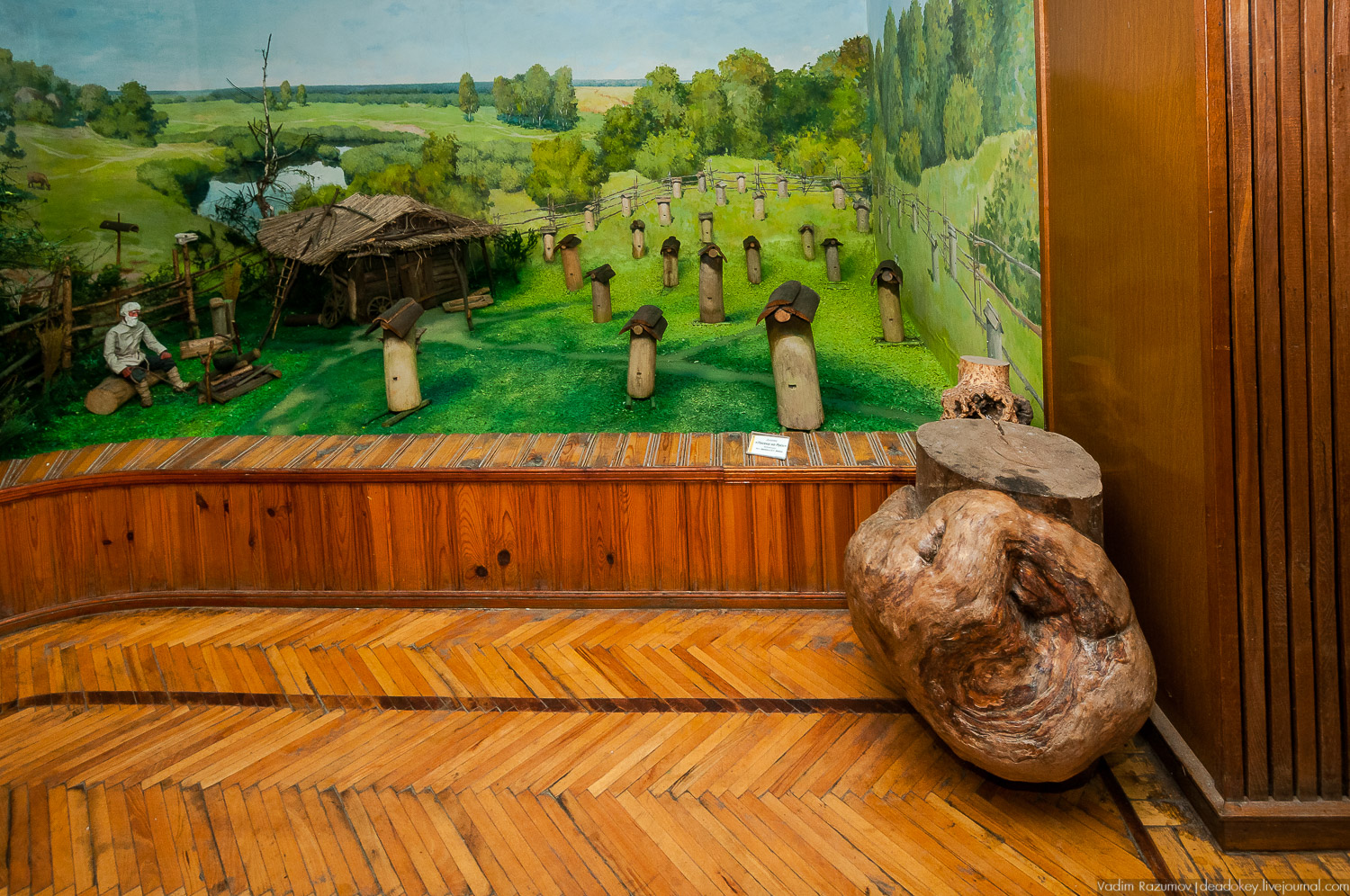 НИИ Пчеловодства, Рязанская область, Рыбное