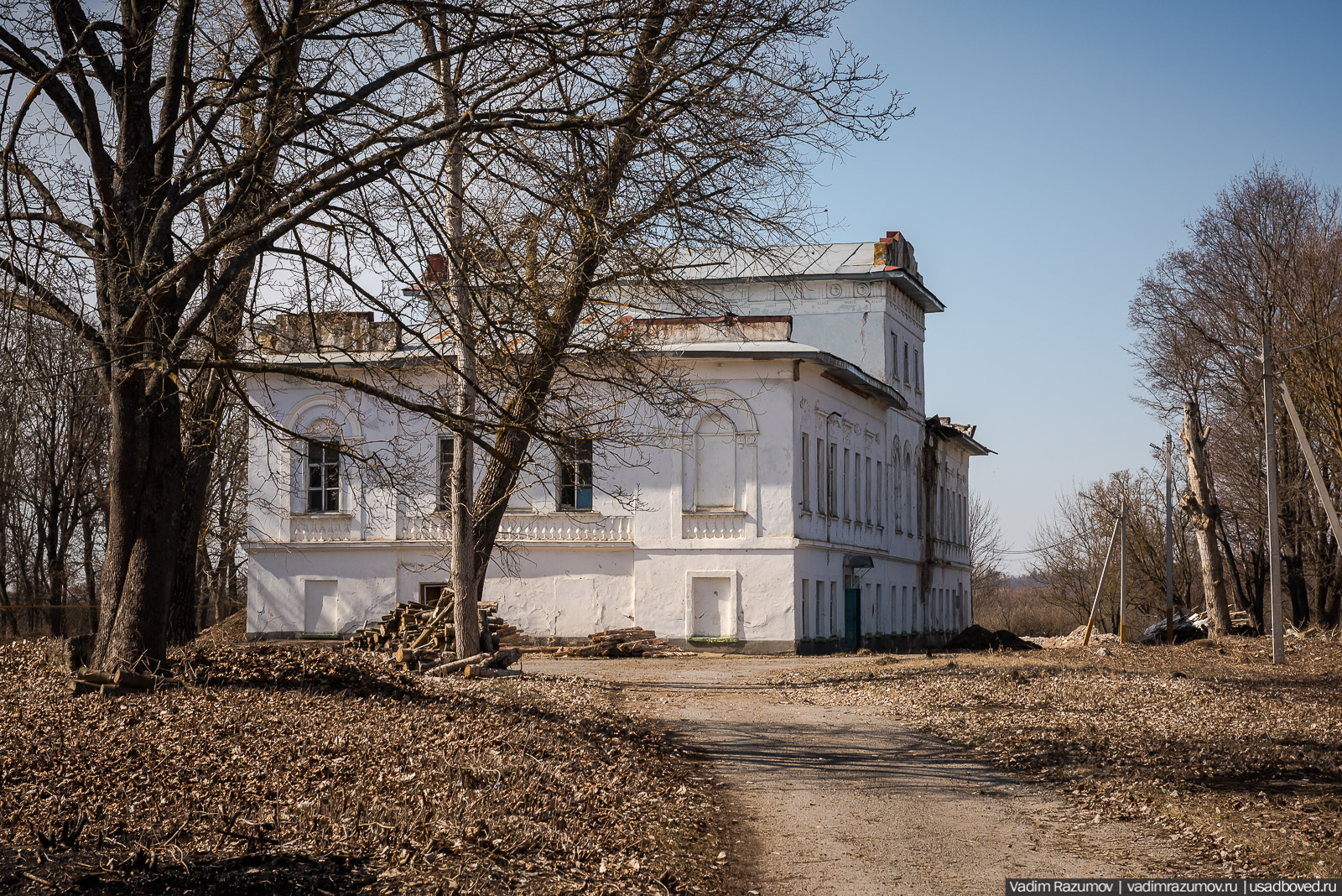 Пролески в усадьбе Репец, Задонский район, Липецкая область