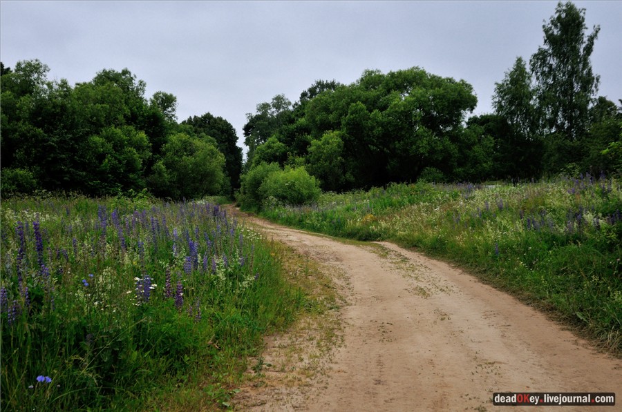 усадьба Фуникова Гора Прокудина-Горского
