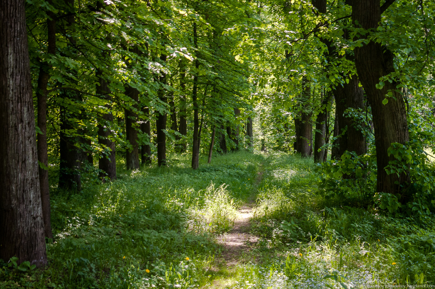 усадьба Валуево в мае