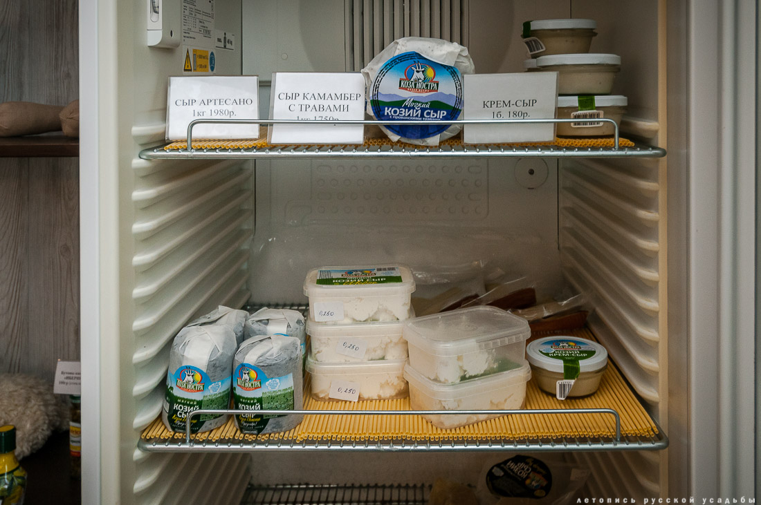 Экоэлектричка на родину журавлей в Талдомский район