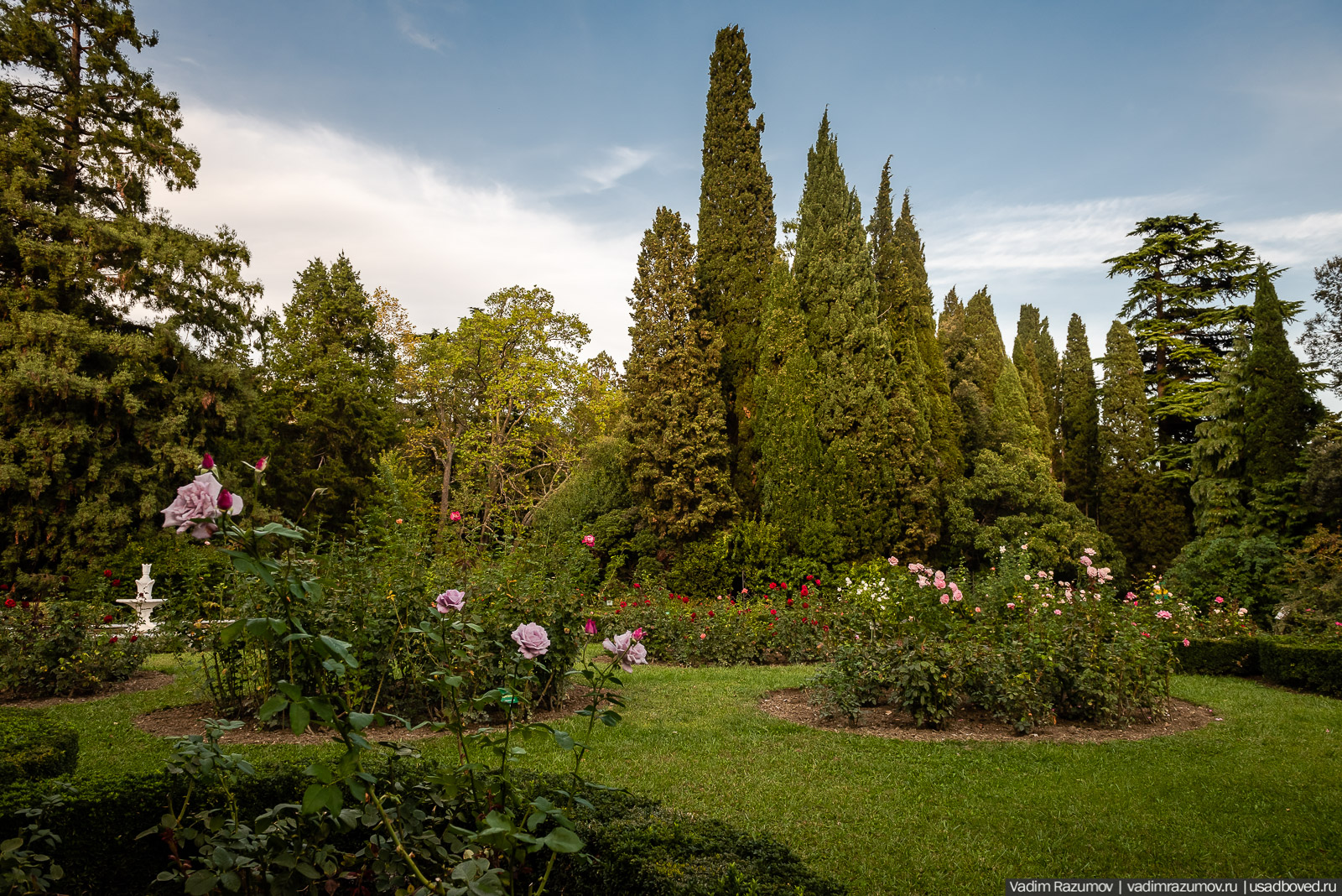 Никитский ботанический сад