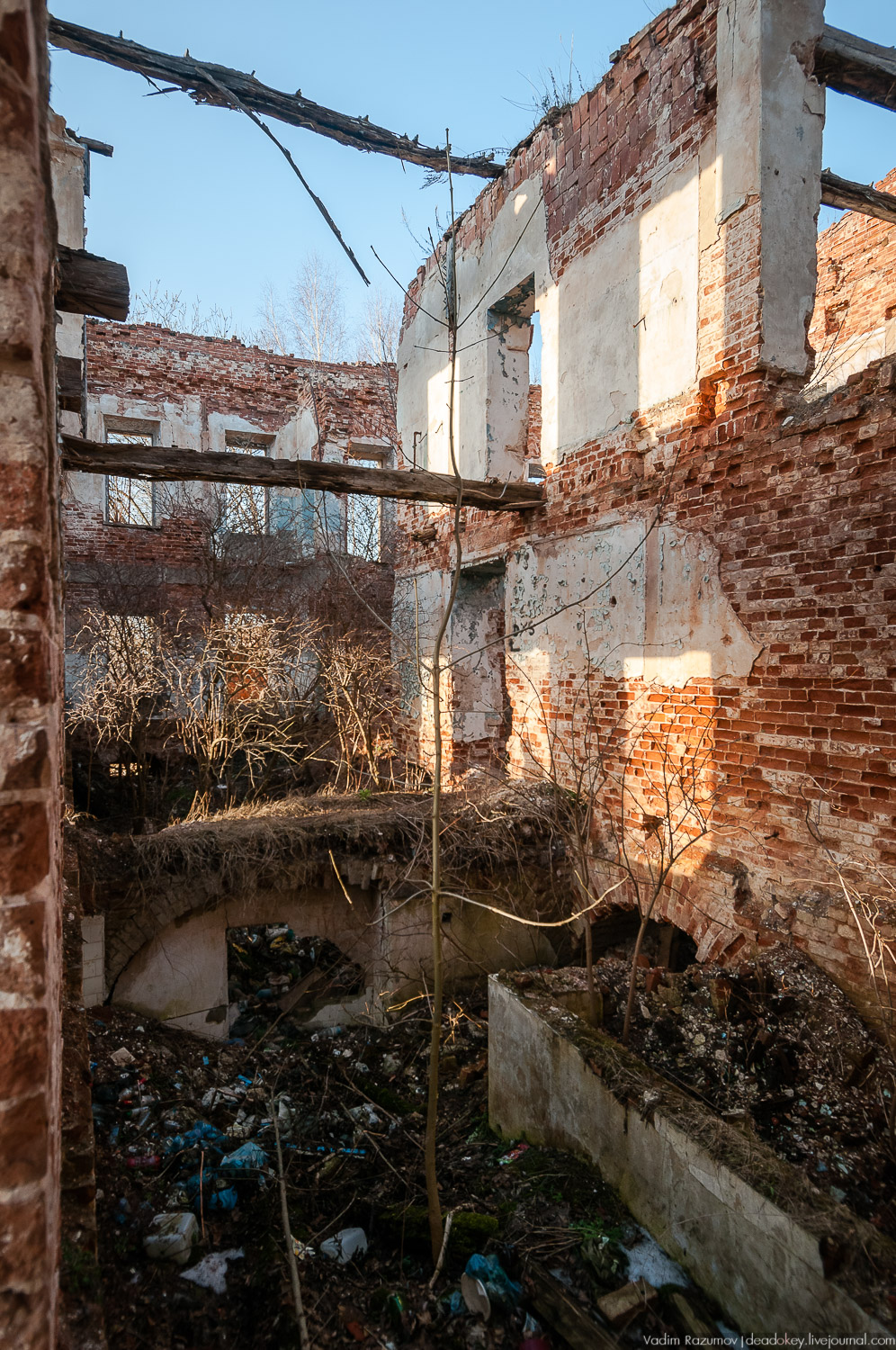 усадьба Подмоклово