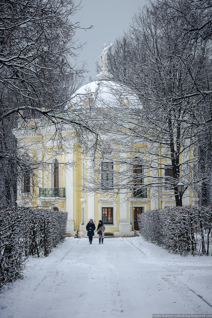 Усадьба Кусково зимой, 2018 год