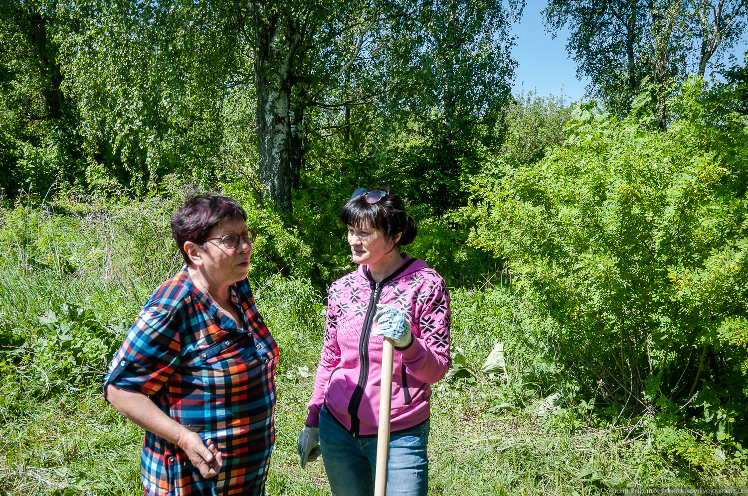 усадьба Сергиевское-на-Упе, Усадебные волонтеры в Тульской области