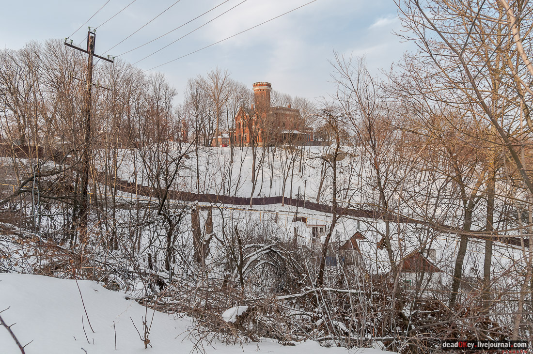 усадьба Рамонь