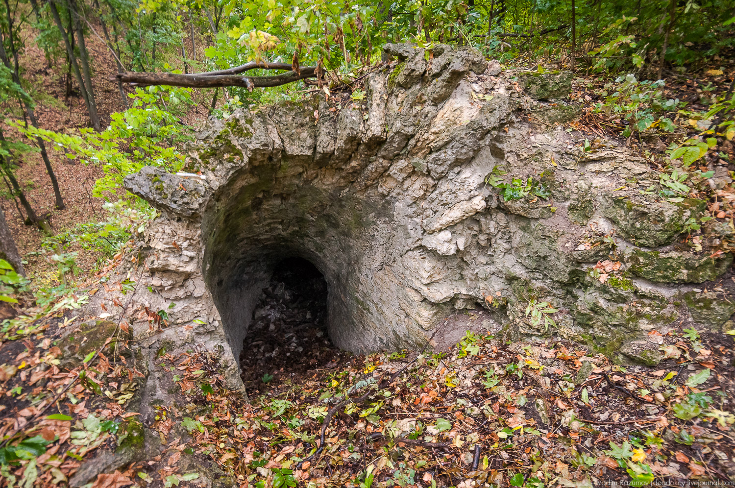 Липецкая область, усадьбы, инвестблогтур 