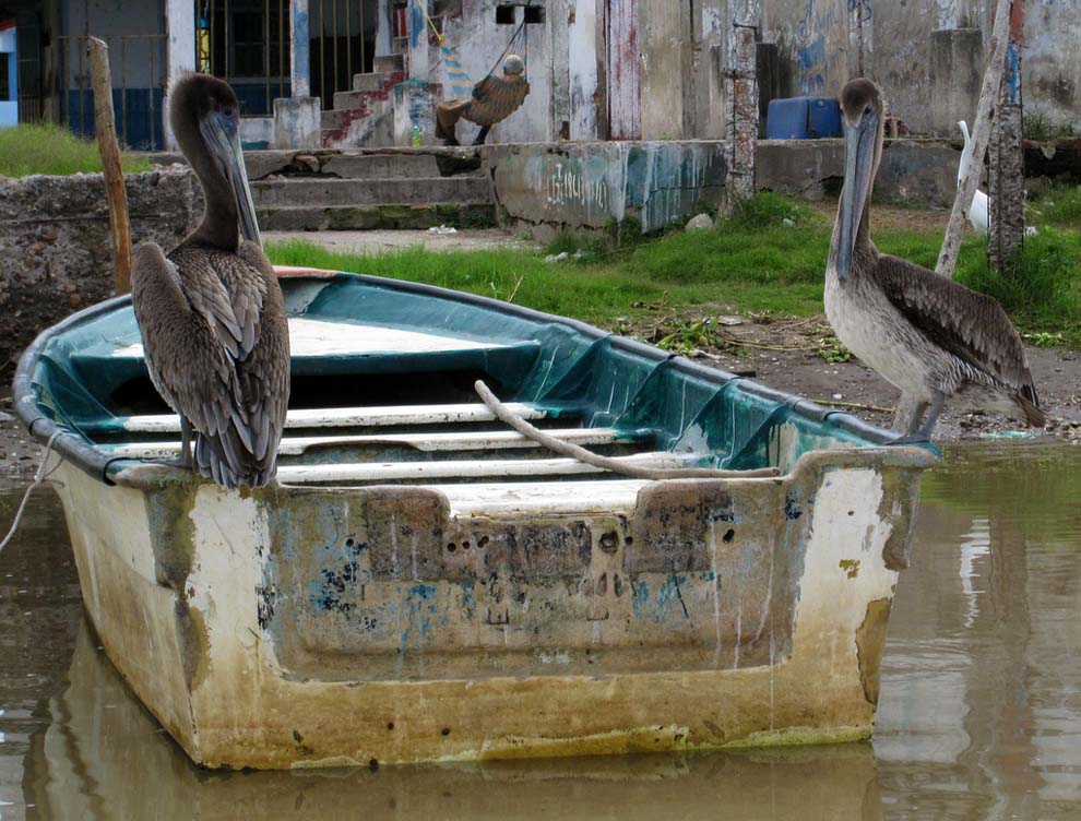 Мескальтитан — город на воде Мескальтитан, города, Проехав, Mexcaltitán, время, острове, жители, ацтеков, ацтеки, которого, СантьягоИскуинтла, можно, дорога, отправились, Мехико, городе, который, святых, Петра, Павла