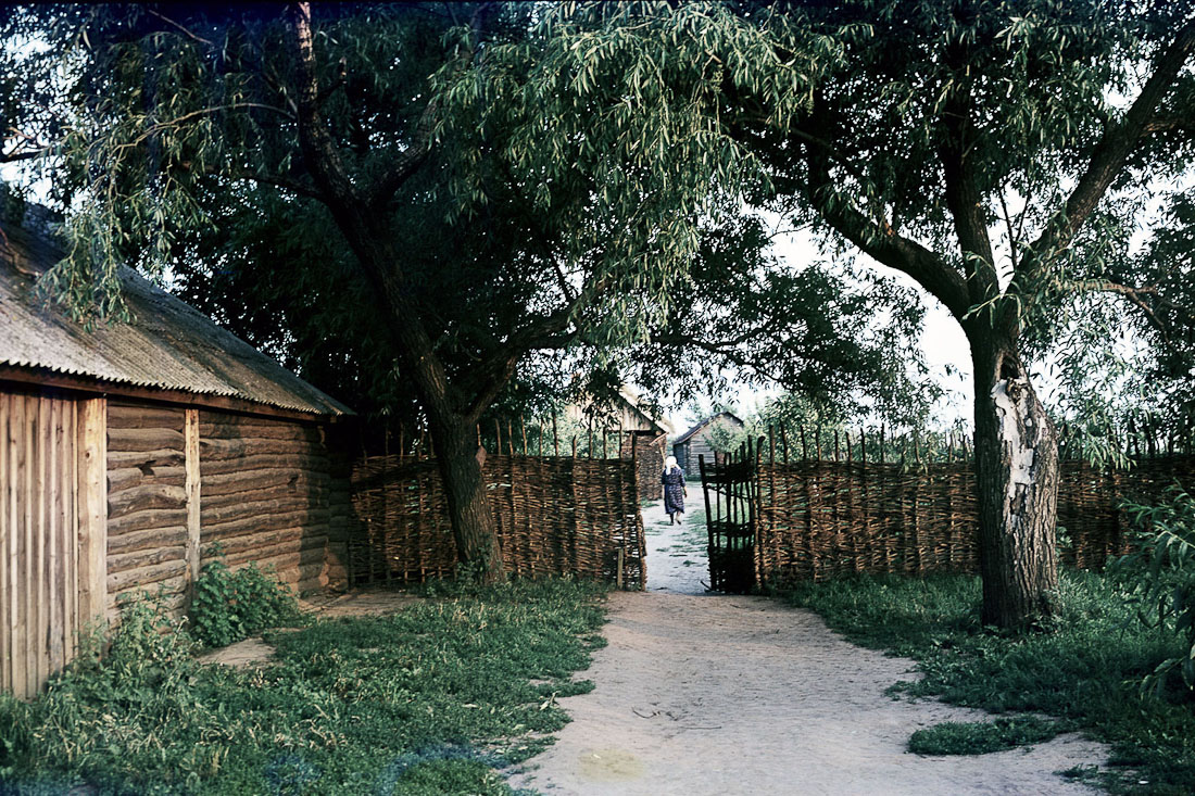 10 интересных фактов про родину Есенина