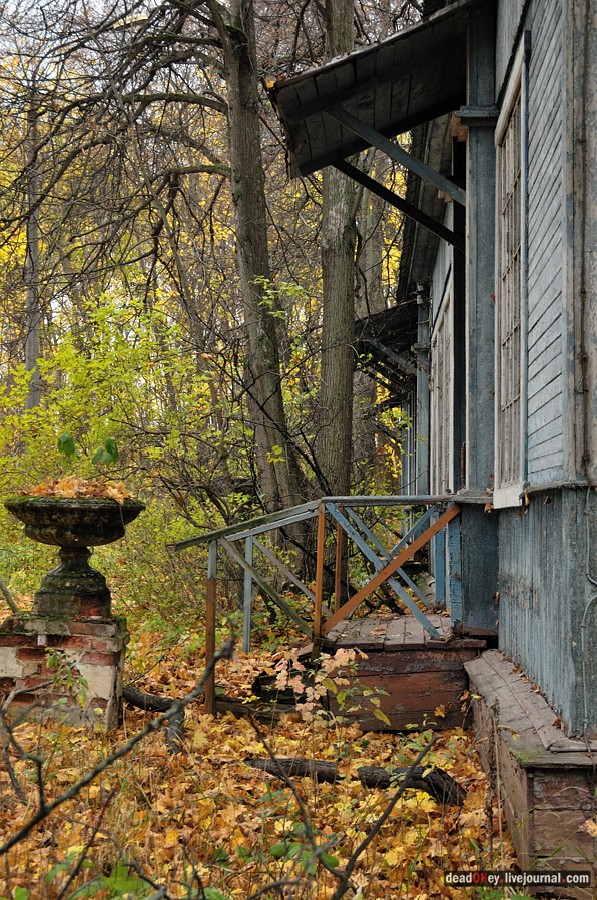 усадьба Жуково