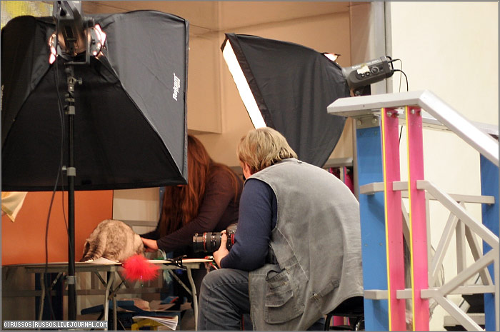 (c) 2007 Russos