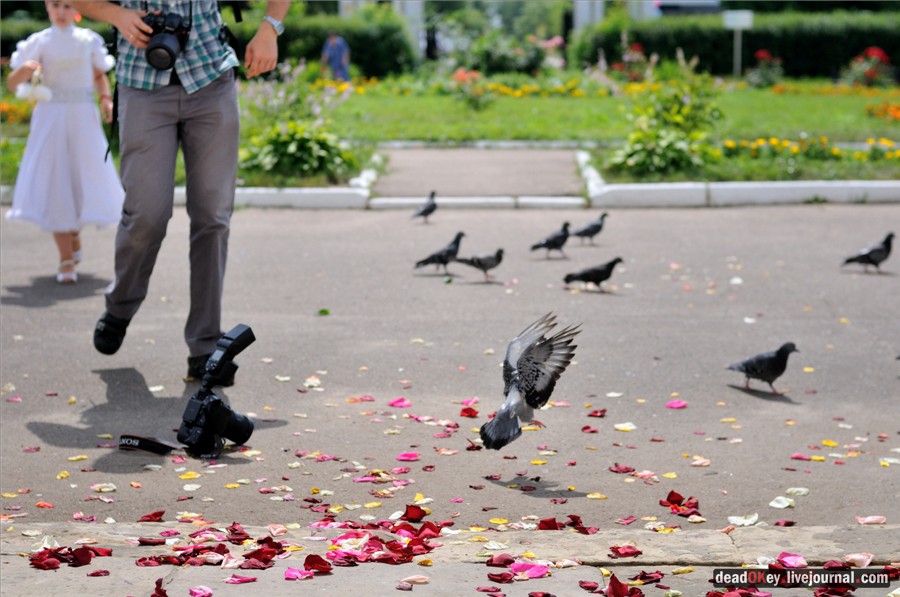усадьба Ивановское (г. Подольск)