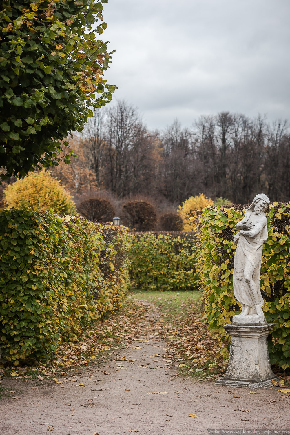 усадьба Кусково, осень 2018 года