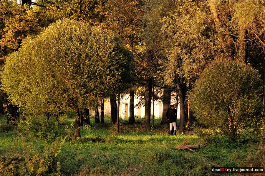 усадьба Петровское-Разумовское