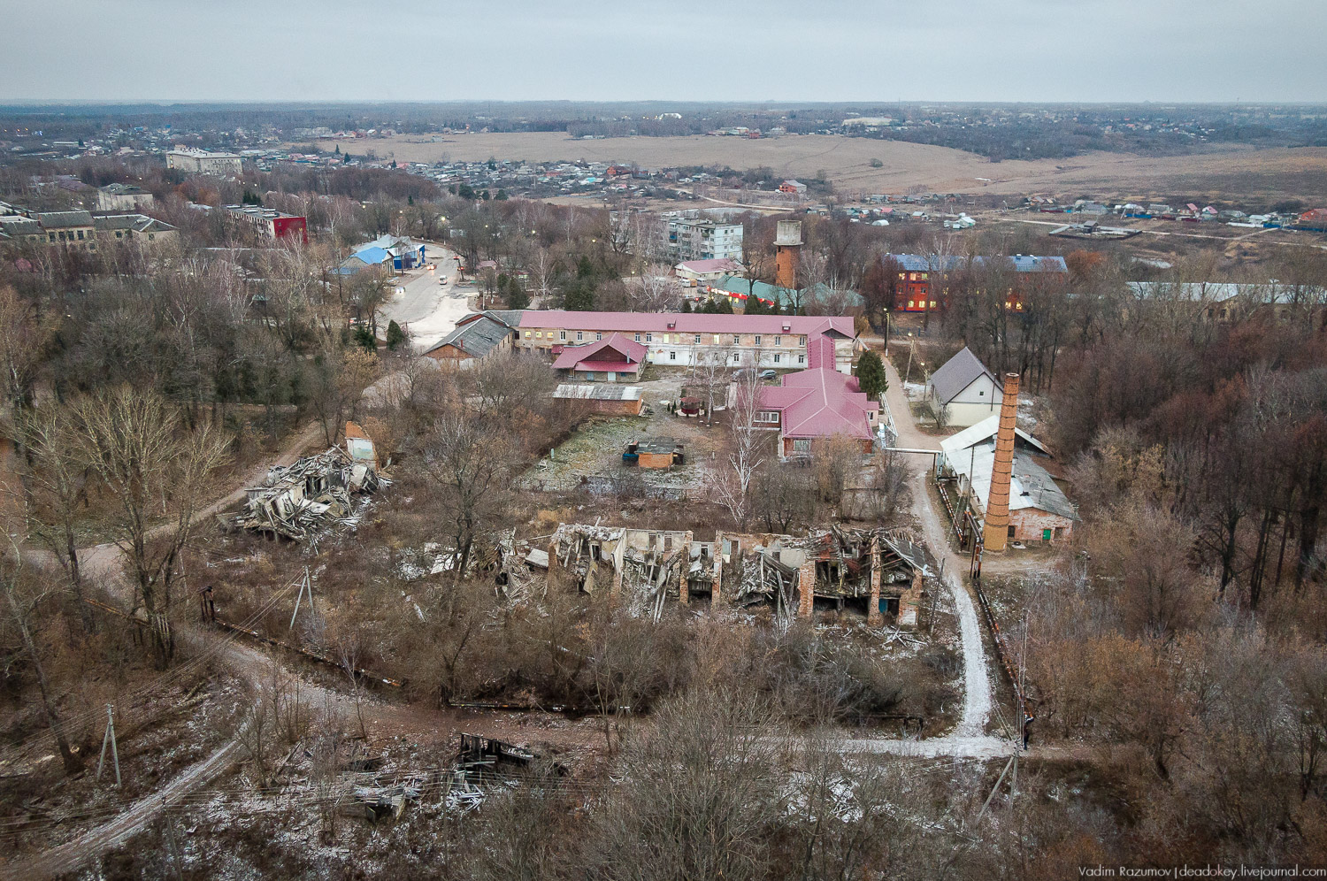 усадьба Бобрики Бобринских, Донской, Тульская область, музей