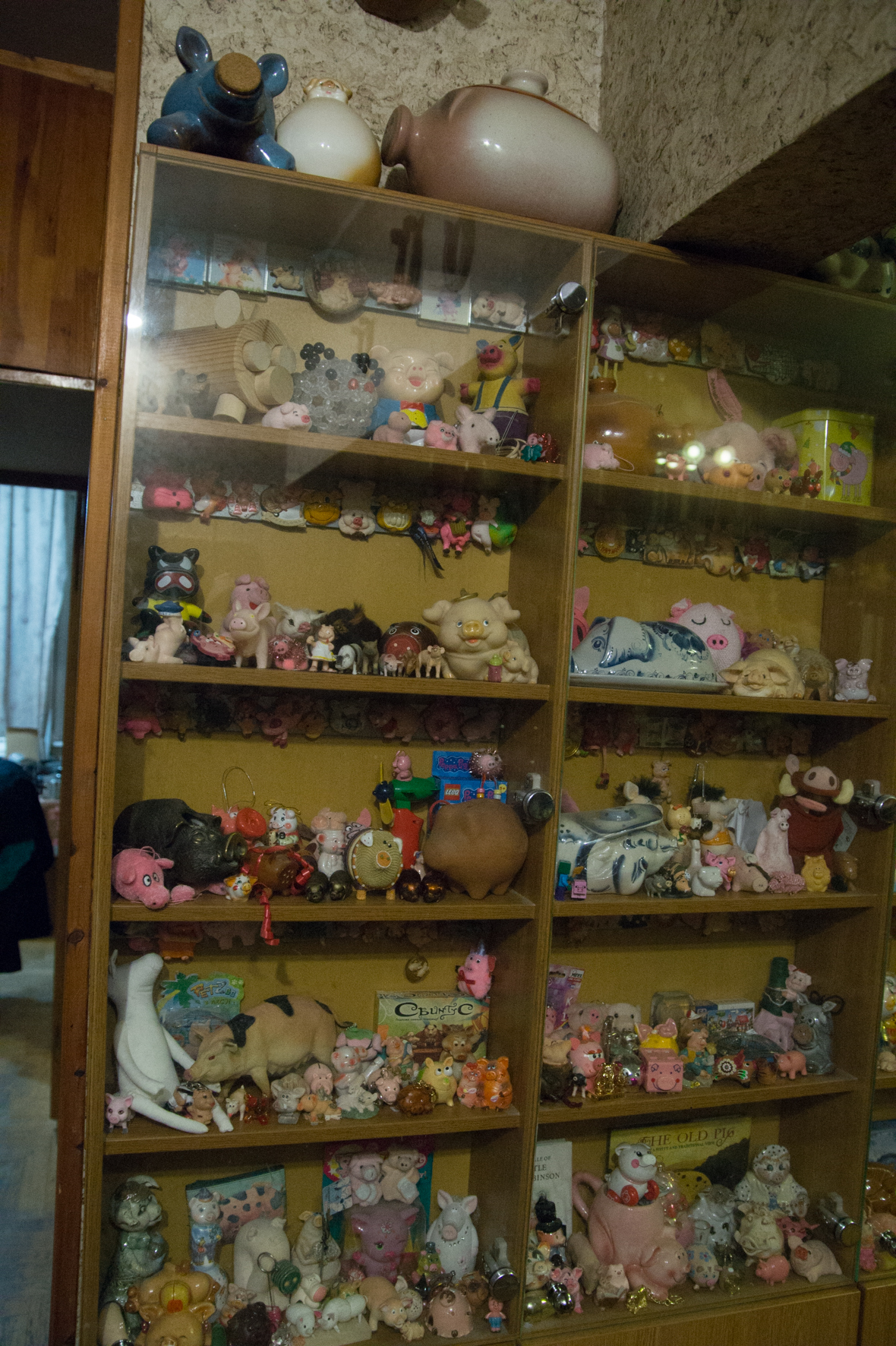 Свиньи, музей свиней