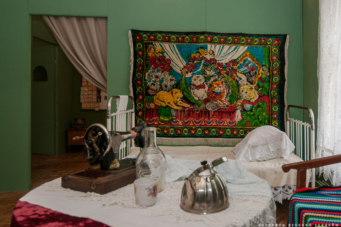 Усадебный экспресс отправляется в усадьбы Ивановское и Дубровицы, 1 апреля 2017 года