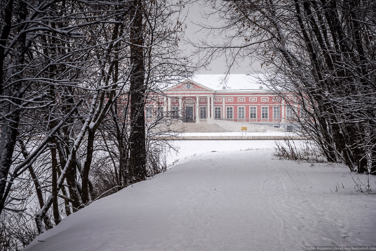 Усадьба Кусково зимой, 2018 год