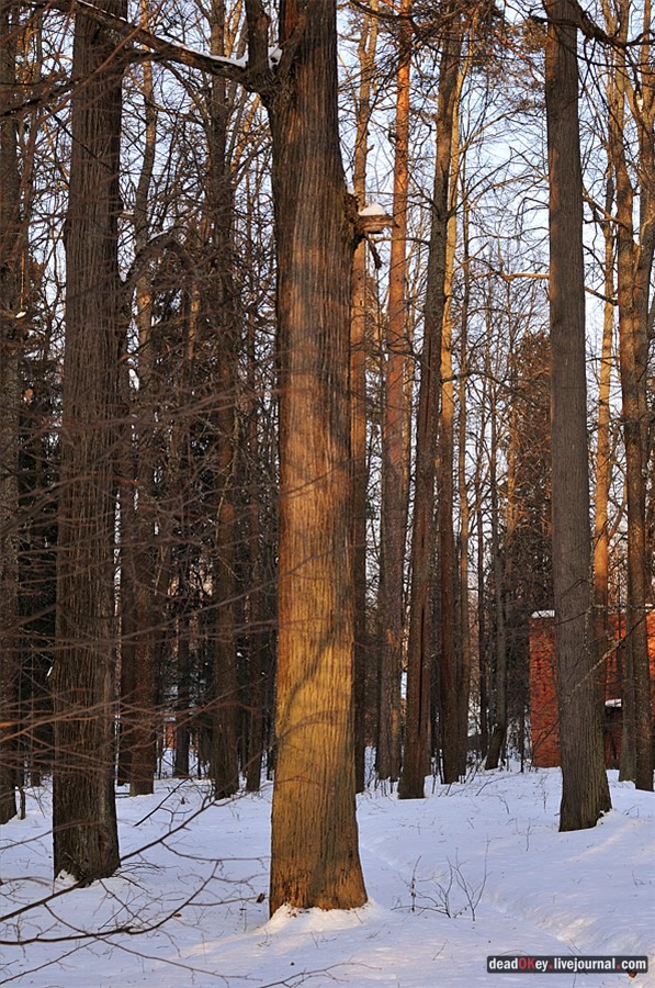 усадьба Андреевское
