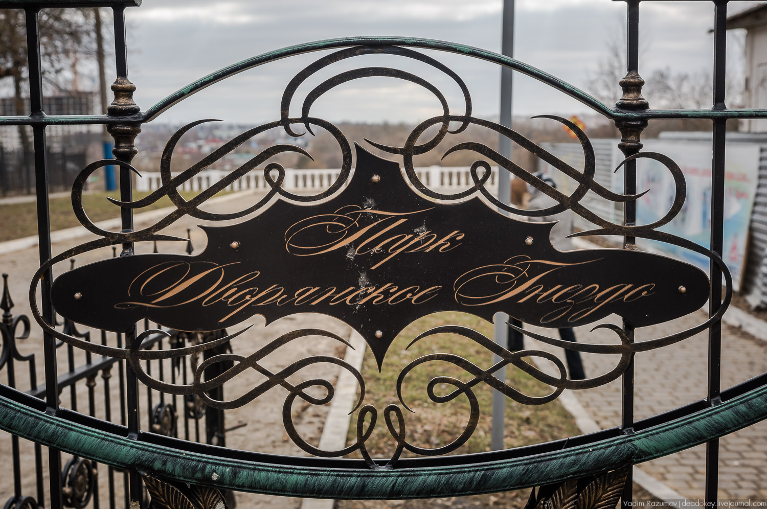 Орел литературный