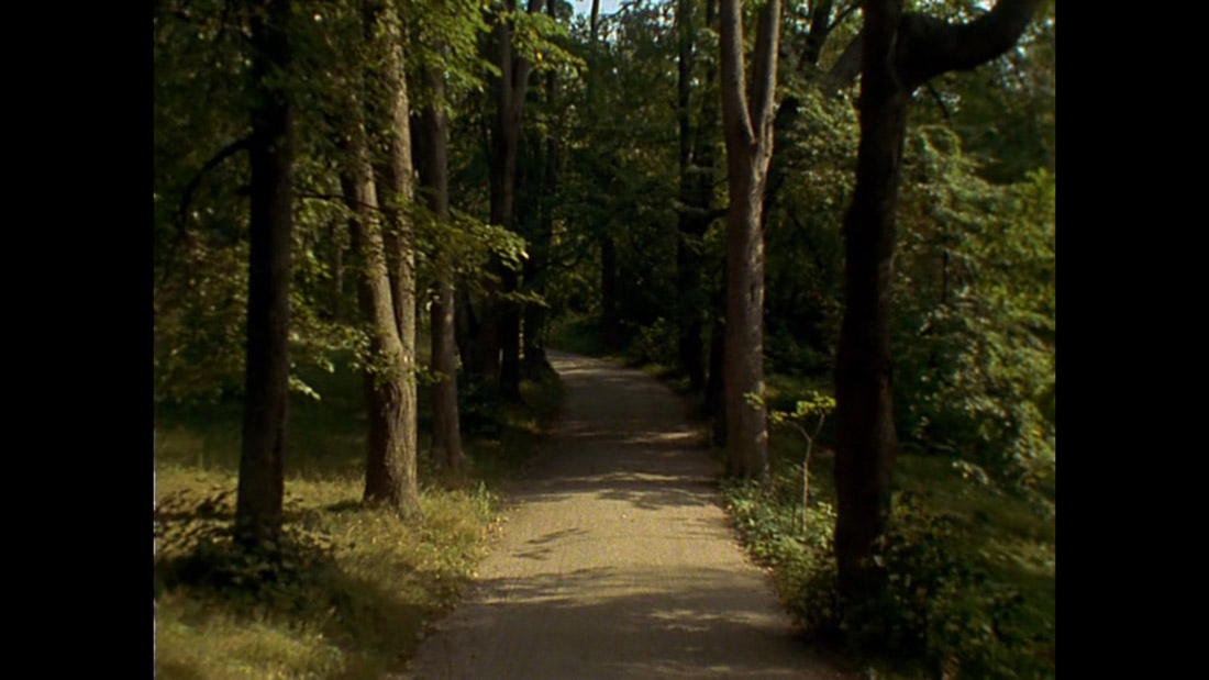 фильм Дворянское гнездо (1969).