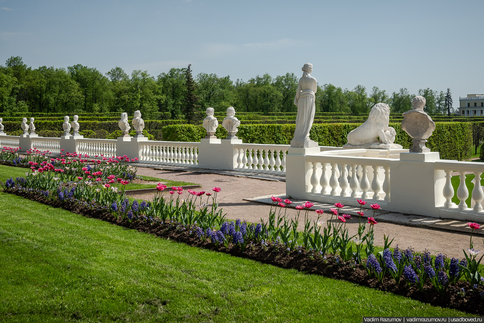усадьба Архангельское, весна, май 2021