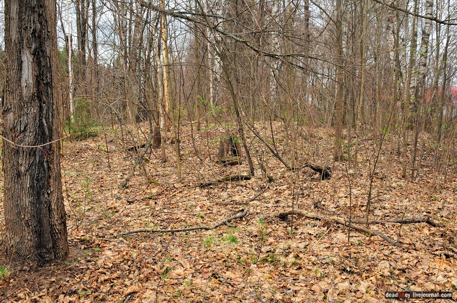 усадьба Антипино