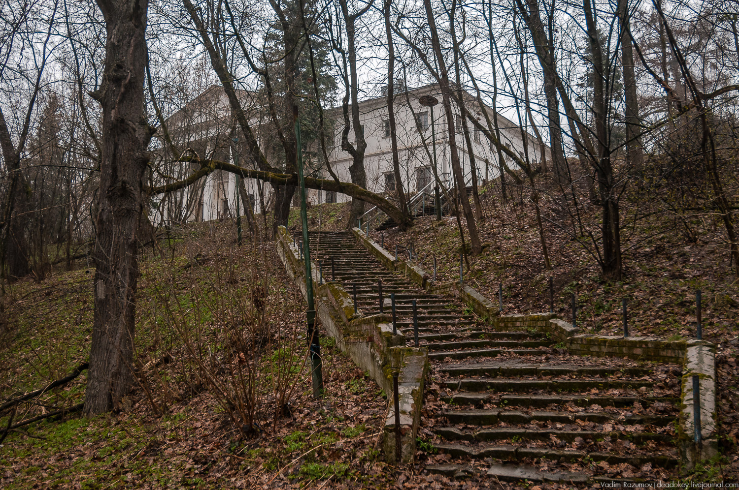 усадьба Петрово (Дурнево, Петрово-Дальнее), Красногорский район, Московская область