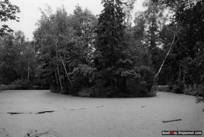 усадьба Пронино