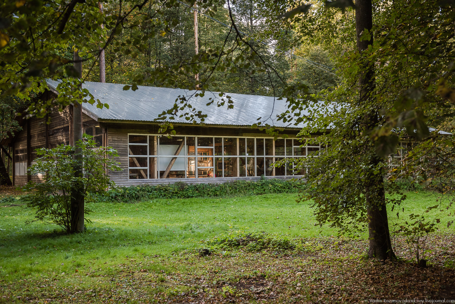 Алексеевская роща, путевой дворец Алексея Михайловича, Лосиный остров, музей охоты