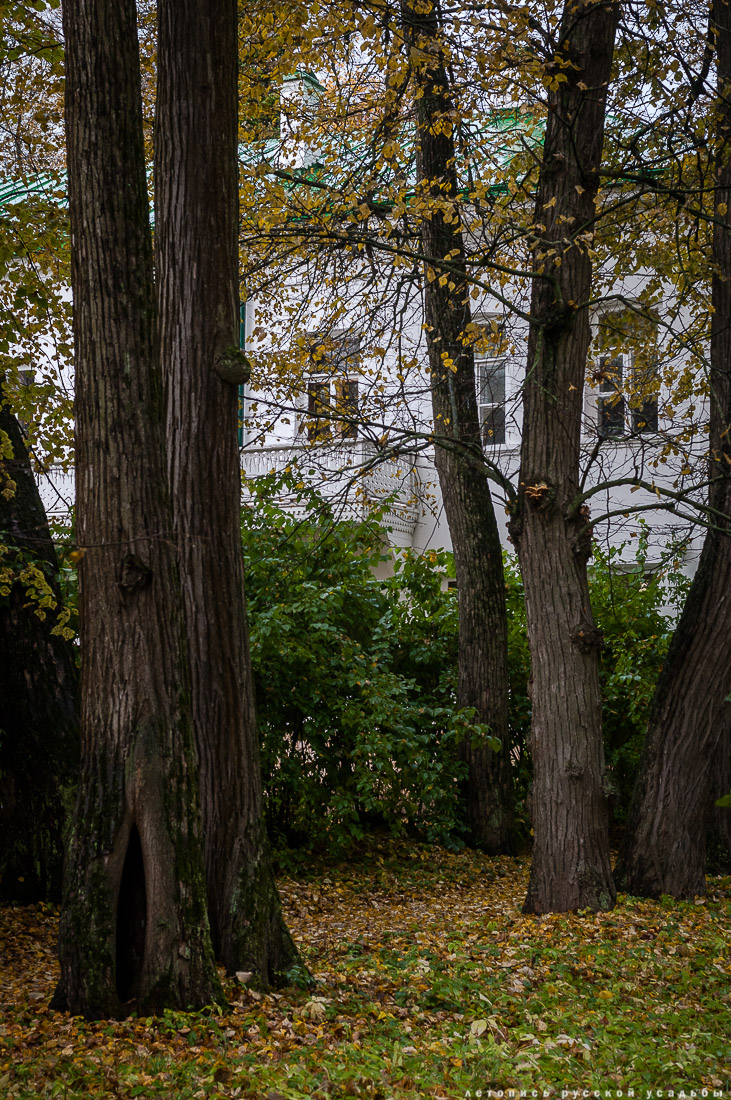 усадьба Ясная Поляна Льва Николаевича Толстого, Тульская область, осенью