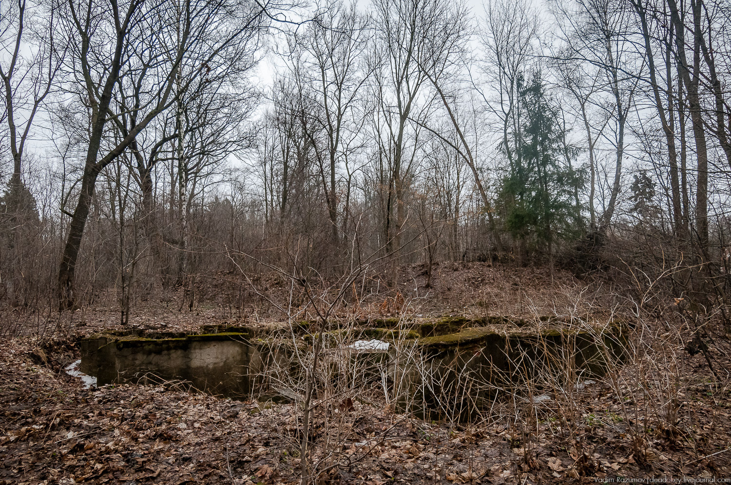 Усадьба Сенницы