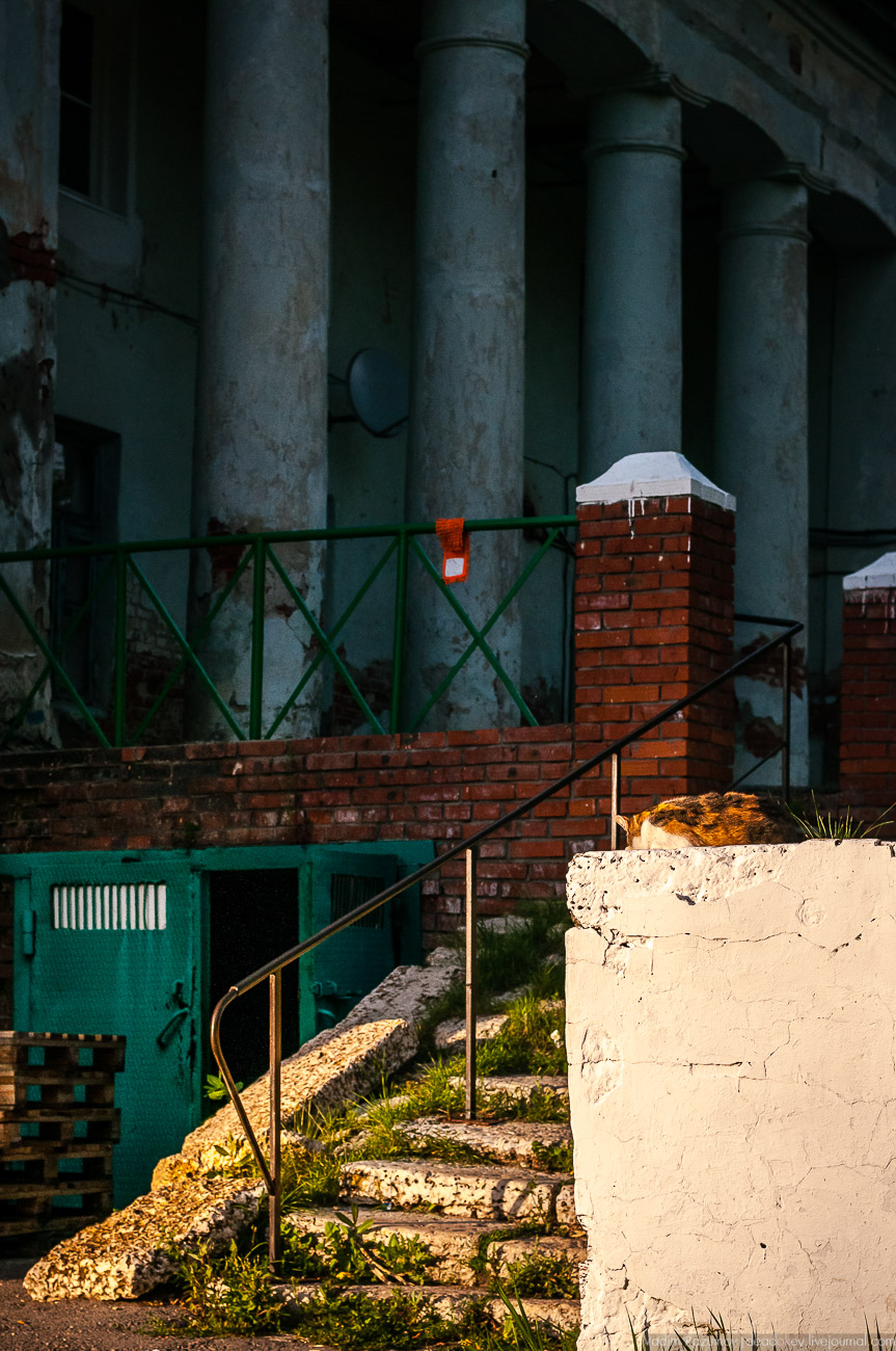 усадьба Воронец